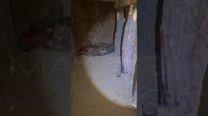 Опорный пункт ВСУ изнутри. Район Гуляйполя.