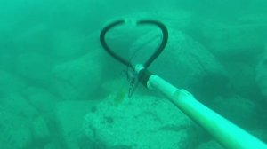 Выстрел из арбалета