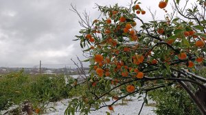 40) На зиму в Абхазию-4. Снег в Абхазии