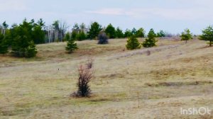 Курсинг в Тольятти?
Квалификация.