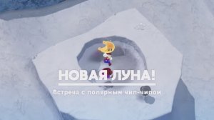 Встреча с полярным чип-чипом