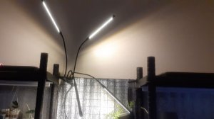 29.12.2025 Новая лампа для растений.