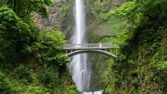 Сура 33 "Аль-Ахзаб" красивое чтение Корана | Чтец: Мухаммад Люхайдан смотреть онлайн