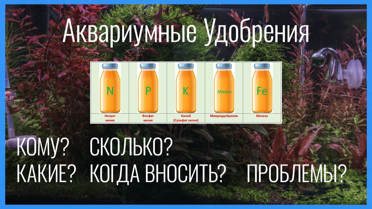 УДОБРЕНИЯ для аквариумных растений: полная инструкция по дозировкам. Кому? Какие? Сколько? Когда? смотреть онлайн