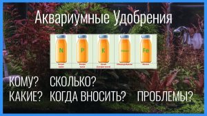 УДОБРЕНИЯ для аквариумных растений: полная инструкция по дозировкам. Кому? Какие? Сколько? Когда?