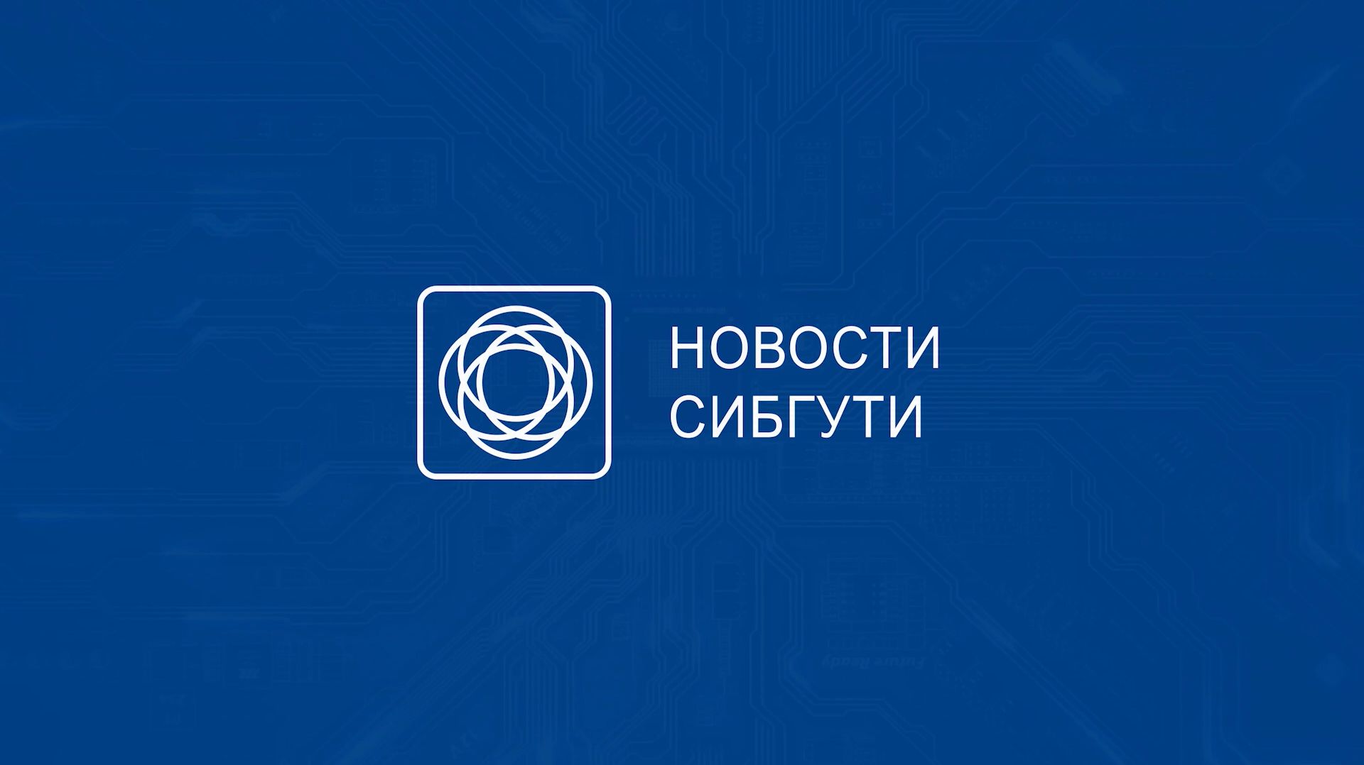 Новости СибГУТИ декабрь 2025 смотреть онлайн