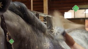 Промо канала Зоо ТВ. Зима на Зоо