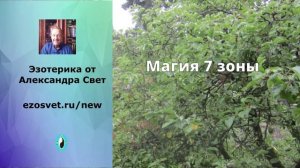 Магия_7_зоны