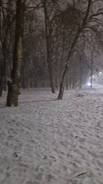 Погода сейчас смотреть онлайн