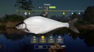 Русская Рыбалка 4-Новогодние Задания 2026: Синец не менее 250 грамм р. Вьюнок