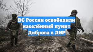 Минобороны: российские войска завершили освобождение Диброва в ДНР