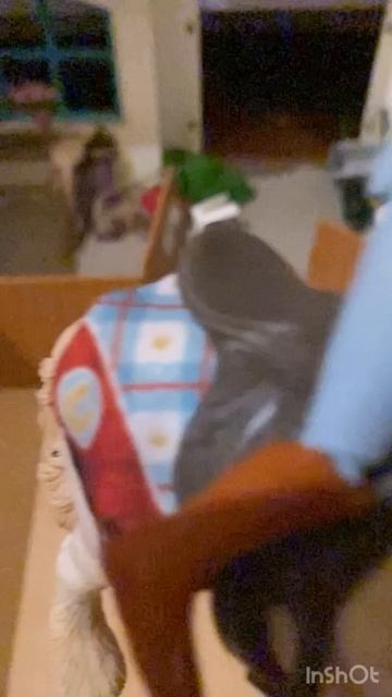 1 момент из сериала «Орёл и» которая не будет выходить 😅😍 смотреть онлайн