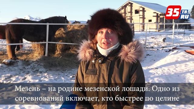 Встречаем год Огненной лошади в гостях у коневода из Верховажья смотреть онлайн