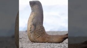 Утренняя разминка ✨💫🌟☀️✴️⭐🧐