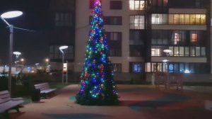 У дочери в Санкт-Петербурге 26.12.25г.🎄 Вечерняя прогулка.🎄
