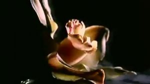 Duran duran Come Undone