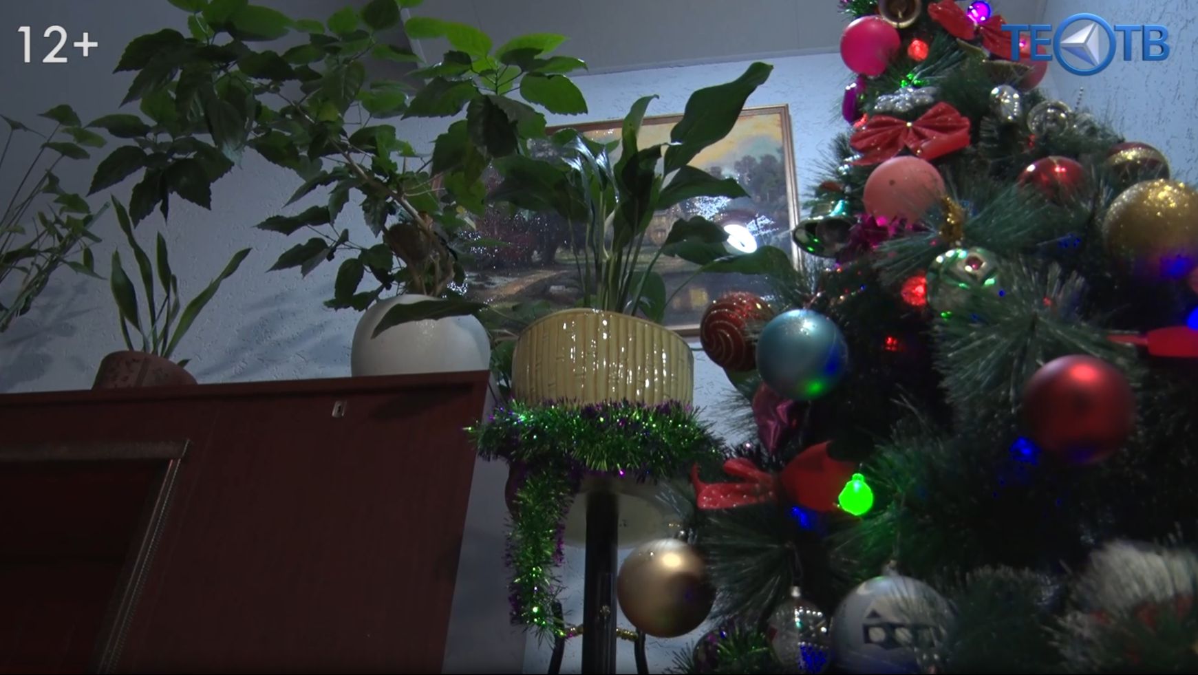 Ёлка «раздора» смотреть онлайн