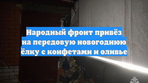 Народный фронт привёз на передовую новогоднюю ёлку с конфетами и оливье
