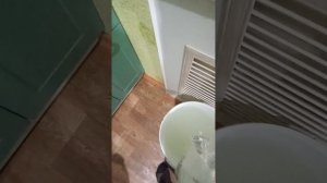 сахарная брага для начинающих