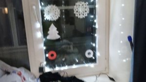 ну как вам украшенное окно с лампочками?