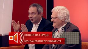 Куклачев: если один раз обидеть кошку, она больше не подойдет