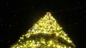 Главная новогодняя красавица Вязьмы