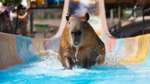 ИИ АНИМАЦИЯ | ЗАЛИПАЛКИ