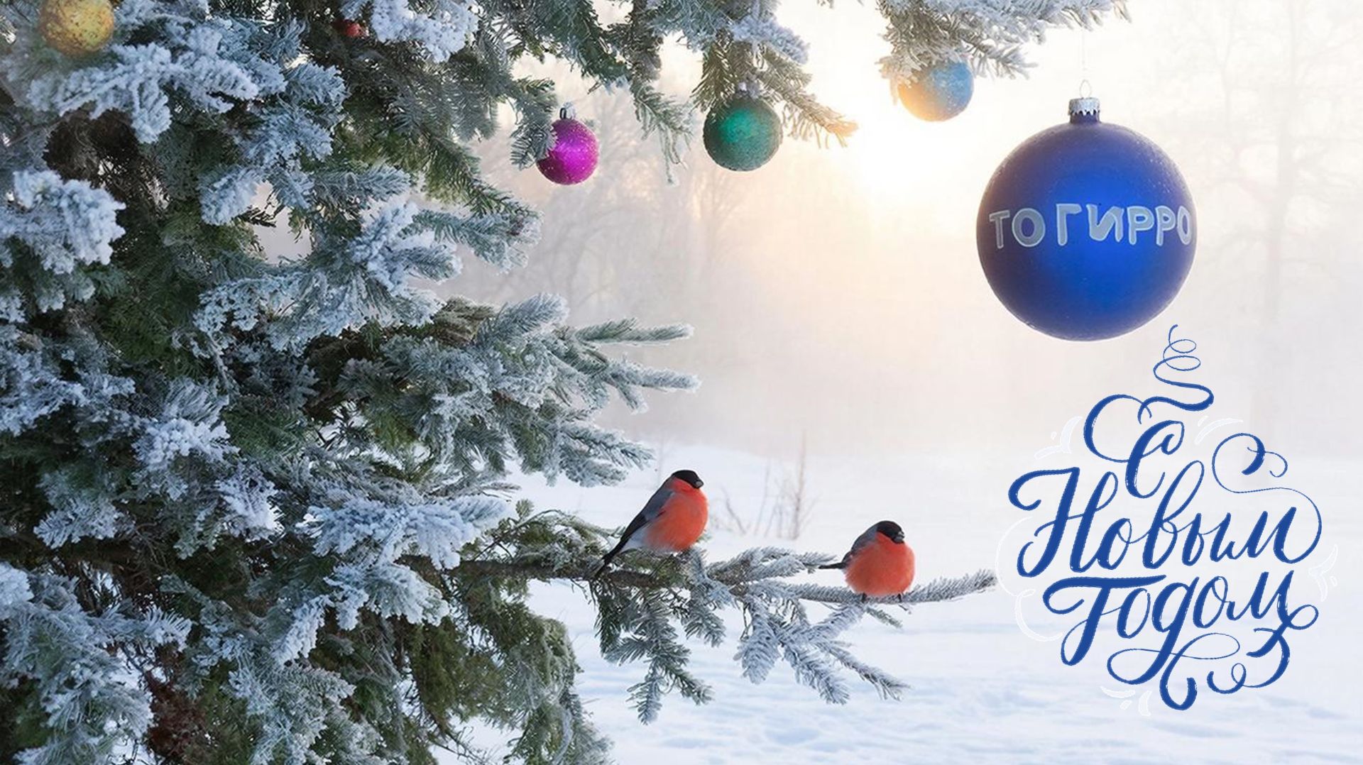 Новогоднее поздравление ректора ТОГИРРО Веры Соловьевой смотреть онлайн