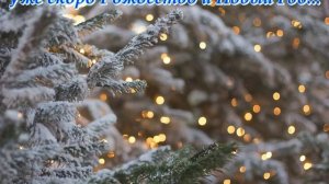 Уже скоро Рождество и Новый Год...(Автор Сергей Колосов)