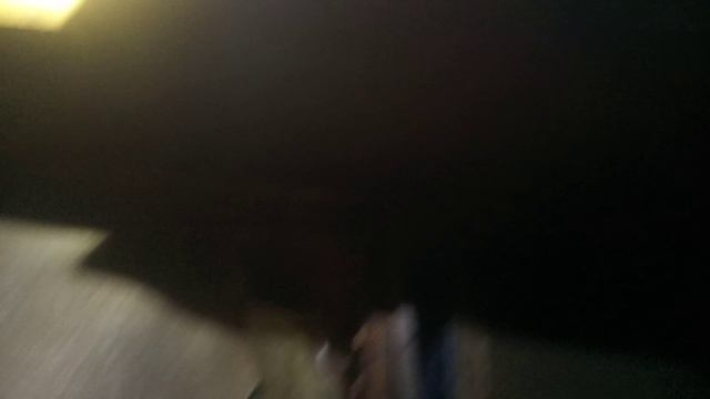 Первый контроль зимовки  пчёлосемей после заноса  в зимовник .