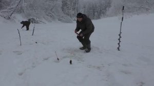 Морозы спали, можно и на рыбалку. Зимняя рыбалка на Хариуса. Свежий Хариус к Новогоднему столу.