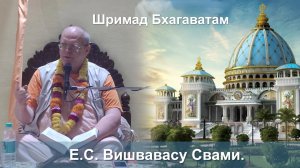 Помощь   29.12.2025 || Шримад Бхагаватам 11.5.9 || Е.C. Вишвавасу Свами