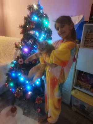 Собираюсь в киров