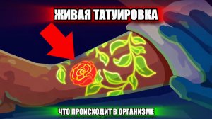 Что Означает Татуировка Для Организма
