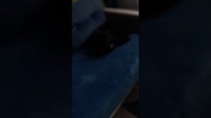 Мой первый эфир