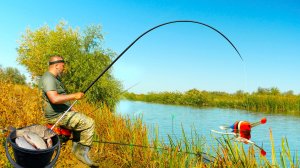 РЕЧКА ШИРИНА 15 МЕТРОВ, А ЗАБИТА КРУПНОЙ РЫБОЙ! НЕЗАБЫВАЕМАЯ РЫБАЛКА НА ПОПЛАВОК!