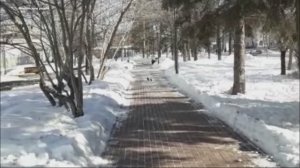 Почистили от снега дорожки