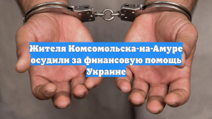 Жителя Комсомольска-на-Амуре осудили за финансовую помощь Украине
