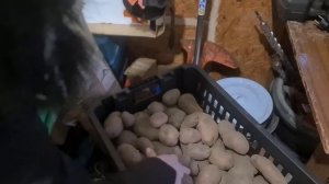 По просьбе Любови 30.12.2025