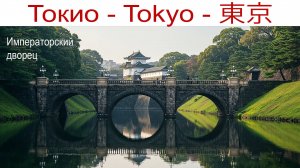 Восточные сады Императорского дворца и злачные места ночного Токио