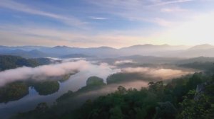 🎵 ПРИРОДА 🎵