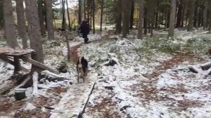 03.10.2025 Колик-Еган