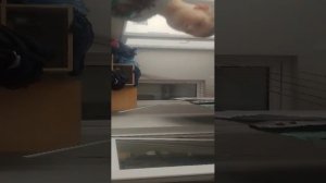 разговоры подпишитесь пж