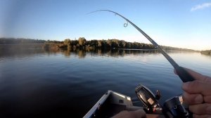 active target 2 ловля хищника осенью на Оке