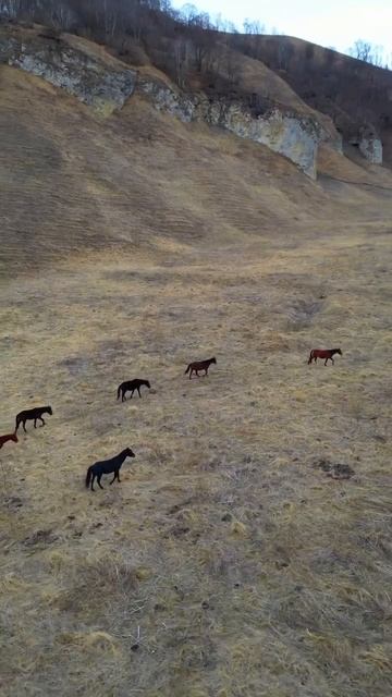 ЭТО НЕ ВЕЛИКИЙ КАНЬОН. ЭТО НАШ КАВКАЗ. ПРИЕЗЖАЕМ. НАСЛАЖДАЕМСЯ. смотреть онлайн