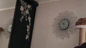 дурная голова лапам покоя не даёт 😄😅🙀