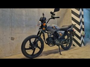 ПРЯМОЙ ЭФИРРозыгрыш мопеда АЛЬФА