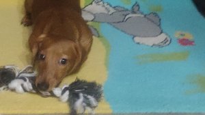 играем в канатик