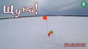 РЫБАЛКА НА ЖЕРЛИЦЫ НА ПЕСКАХ, ЩУКА! ПЕРВАЯ ПОКЛЁВКА ДАЖЕ НЕ УСПЕЛ РАЗМОТАТЬ УДОЧКИ РЫБАЛКА НА УРАЛЕ!