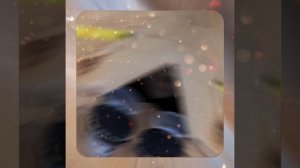 1000044159.mp4 (Собака наблюдает за устройством лестницы на 2 этаж в доме А-фрейм)